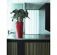 Kuchynská scéna s umývadlom, pracovnou doskou a hrnkovou rastlinou v červenom kvetináči