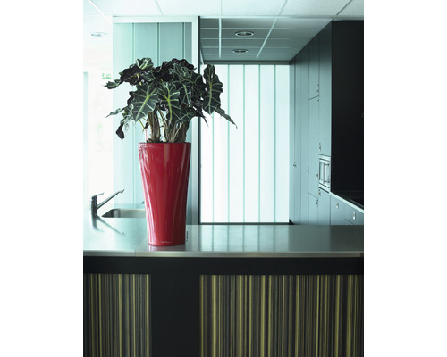 Kuchynská scéna s umývadlom, pracovnou doskou a hrnkovou rastlinou v červenom kvetináči