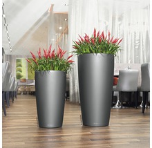 Dva vysoké kvetináče s rastlinami na drevenej podlahe.