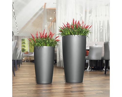 Dva vysoké kvetináče s rastlinami na drevenej podlahe.