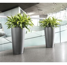 Dva vysoké kvetináče s rastlinami v interiéri.