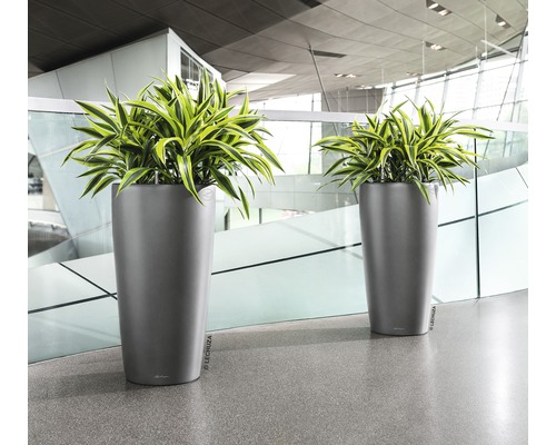Dva vysoké kvetináče s rastlinami v interiéri.