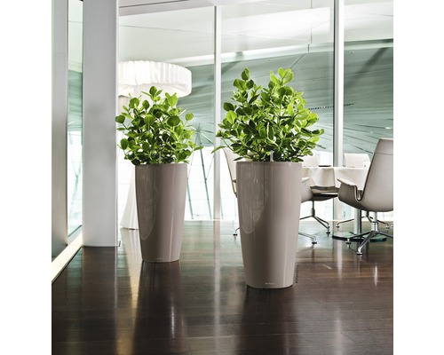 Dva vysoké kvetináče so zelenými rastlinami v svetlej miestnosti