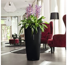 Vysoký, štíhly kvetináč so zelenou rastlinou a fialovými kvetmi v obývacej izbe