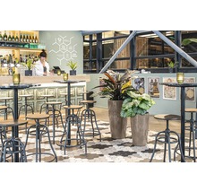 Interiér baru so stoličkami, stolmi a rastlinami