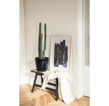 Dekoratívny interiér s kaktusom v čiernom kvetináči na stoličke, doplnený zarámovaným abstraktným umeleckým dielom a bundou.