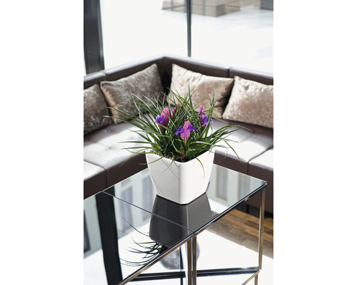 Dekoratívne aranžmán s fialovými kosatcami v bielom kvetináči na odkladacom stolíku