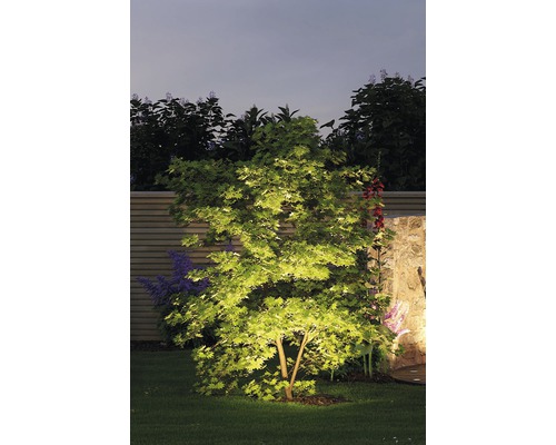 Osvetlený strom v záhrade v noci.