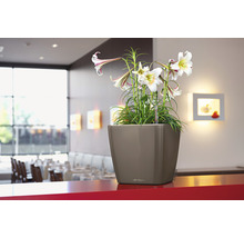 Štvorcový kvetináč s ľaliami na červenom stole