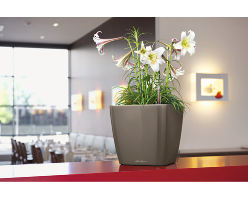 Štvorcový kvetináč s ľaliami na červenom stole