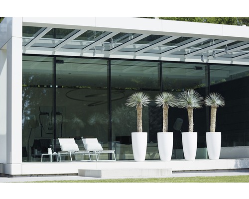 Moderná vonkajšia scéna s rastlinami v kvetináčoch, stoličkami a stolom