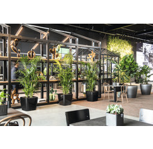 Interiér s rastlinami v kvetináčoch, regálom a posedením