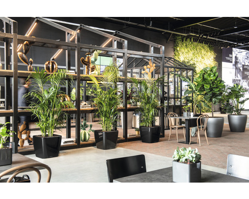 Interiér s rastlinami v kvetináčoch, regálom a posedením