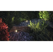 LED vonkajšie bodové svietidlo Paulmann 93997 Plug and Shine Plantini IP65 2,5W 90lm 3000K antracit - zapichovacie-thumb-2 LED vonkajšie bodové svietidlo Paulmann 93997 Plug and Shine Plantini IP65 2,5W 90lm 3000K antracit - zapichovacie-thumb-2