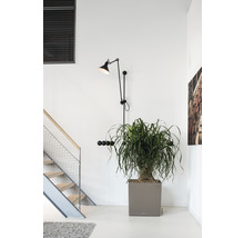 Interiérová scéna so schodiskom, rastlinou v kvetináči a nástennou lampou