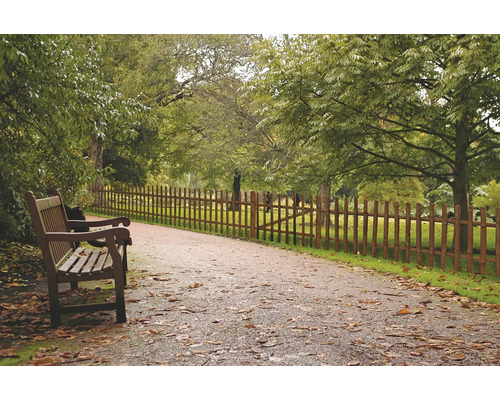 Scéna s parkovou lavičkou a dreveným plotom pozdĺž cesty