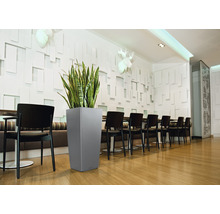 Interiérová fotografia miestnosti s jedálenským stolom, stoličkami a vysokým sivým kvetináčom so zelenou rastlinou