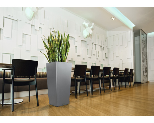 Interiérová fotografia miestnosti s jedálenským stolom, stoličkami a vysokým sivým kvetináčom so zelenou rastlinou