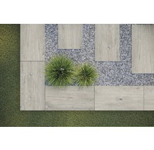 Záhradná scéna s kamennými doskami, štrkom a rastlinami