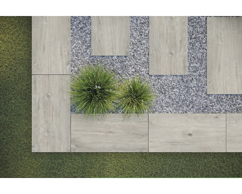 Záhradná scéna s kamennými doskami, štrkom a rastlinami