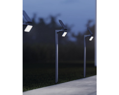 Niekoľko solárnych lámp pozdĺž cesty v záhrade.