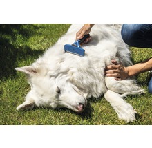Hrebeň pre psov Furminator L dlhá srsť 23-41 kg čierno-modrý-thumb-9