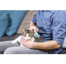 Osoba kefuje mačku kefou Furminator