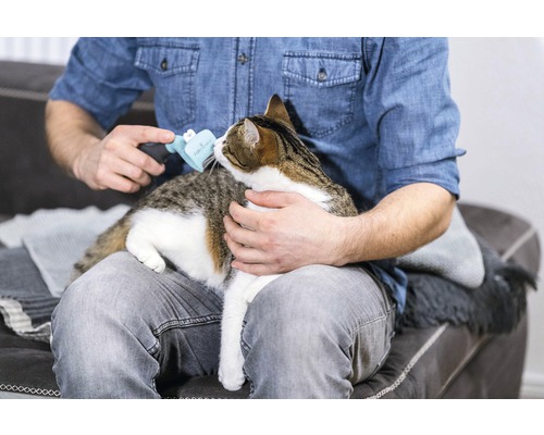 Muž kefuje mačku kefou na zvieraciu srsť na kolenách