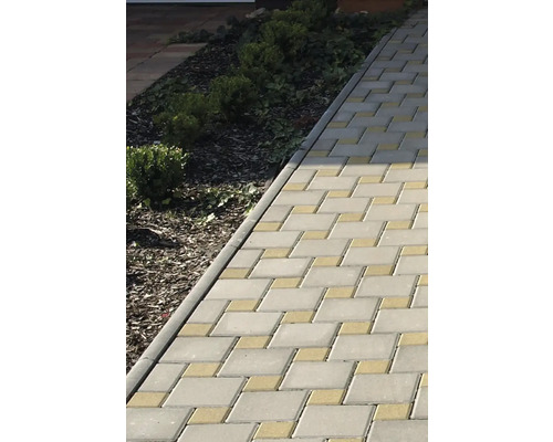 Dláždená cesta s obdĺžnikovými dlažobnými kockami a priľahlými kríkmi