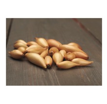 Šalotka na drevenom pozadí