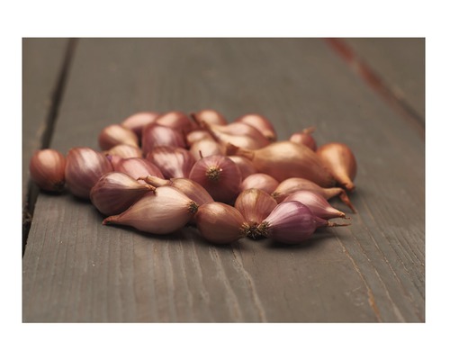 Šalotky na drevenom stole