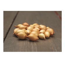 Šalotky na drevenom pozadí