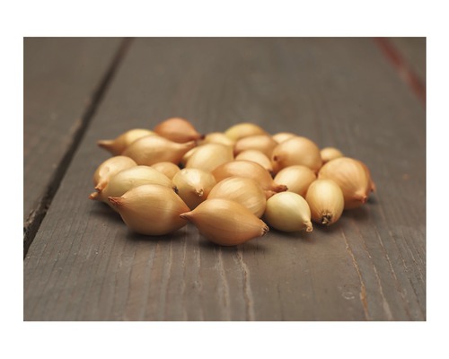 Šalotky na drevenom pozadí