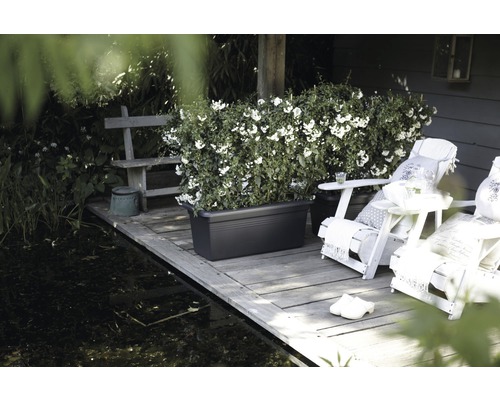 Záhradná scéna s jazierkom, lavičkou, osadeným kvetináčom a ležadlami