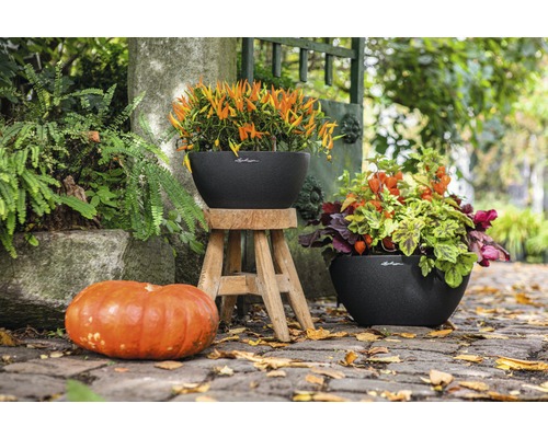 Scéna s dvoma kvetináčmi osadenými jesennými kvetmi a tekvicovou dekoráciou vonku