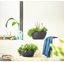 Dva osadené kvetináče Lechuza v interiéri