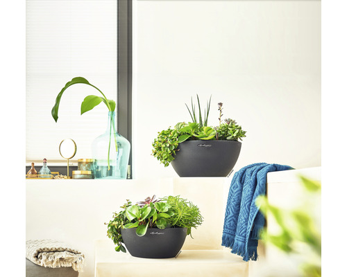 Dva osadené kvetináče Lechuza v interiéri