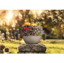 Kvetináč s kvetmi na náhrobku