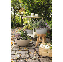 Záhradná scéna s osadenými kvetináčmi, dekoráciami a záhradným nábytkom na dláždenej ceste