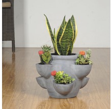 Viacúrovňový betónový kvetináč s rôznymi sukulentmi a rastlinou Sansevieria