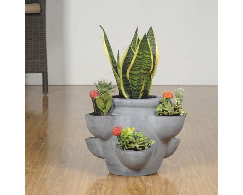 Viacúrovňový betónový kvetináč s rôznymi sukulentmi a rastlinou Sansevieria