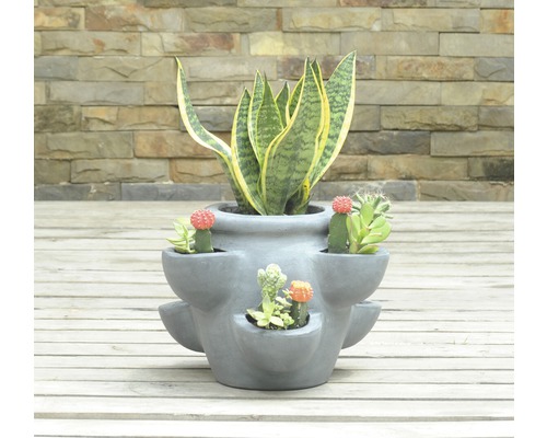 Kvetináč osadený sukulentmi a kaktusom