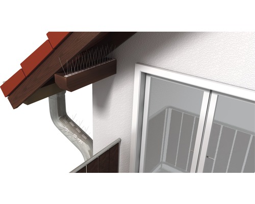 Scéna s hrotmi proti vtákom na odkvape a okraji strechy