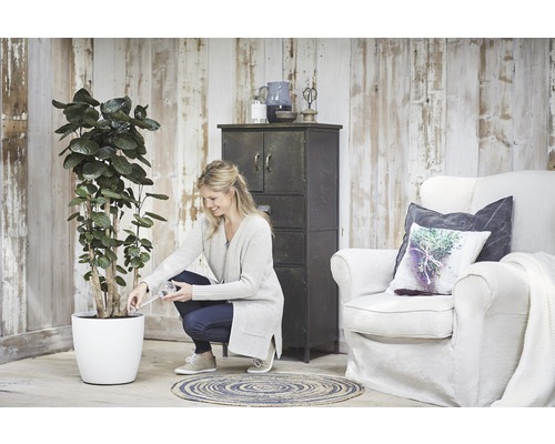 Žena zalieva rastlinu v bielom kvetináči v obývacej izbe so skriňou a kreslom