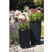 Dva kvetináče s kvetmi na terase