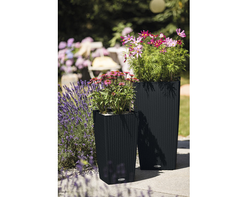 Dva kvetináče s kvetmi na terase