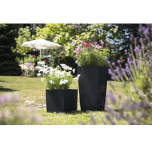 Dva čierne kvetináče s kvetmi v záhrade