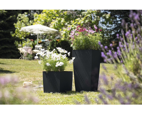 Dva čierne kvetináče s kvetmi v záhrade