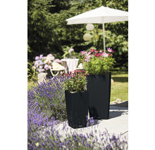 Dva kvetináče s rastlinami na terase