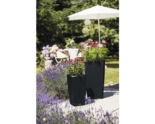 Dva kvetináče s rastlinami na terase